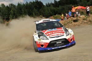 Fiesta WRC - Grzyb Grzegorz - 2015